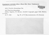 Image Associated With the Occurence